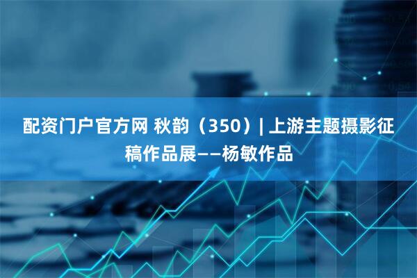 配资门户官方网 秋韵（350）| 上游主题摄影征稿作品展——杨敏作品