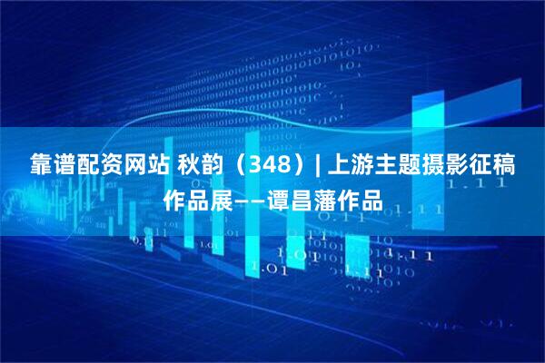 靠谱配资网站 秋韵（348）| 上游主题摄影征稿作品展——谭昌藩作品