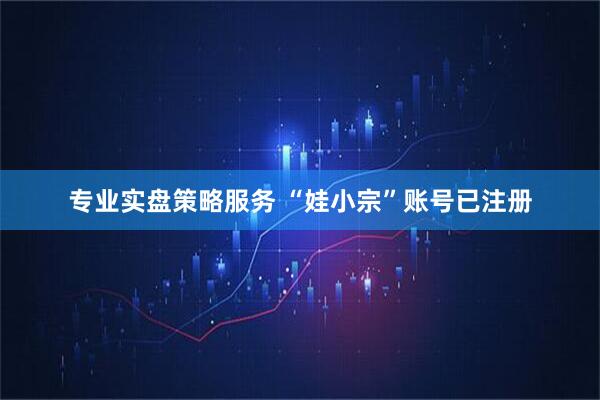 专业实盘策略服务 “娃小宗”账号已注册